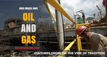 Brazil's Oil and Gas Reserves: Exploring the Nation's Energy Resources