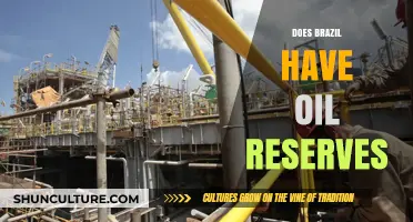 Brazil's Oil Reserves: Uncovering the Nation's Energy Potential and Impact