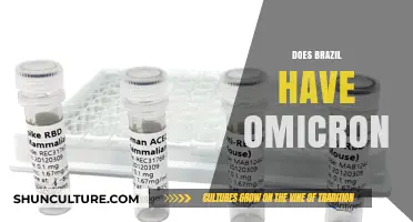 Brazil's Omicron Status: Latest Updates and Health Measures