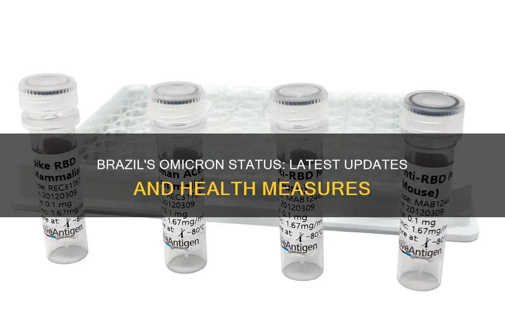 does brazil have omicron