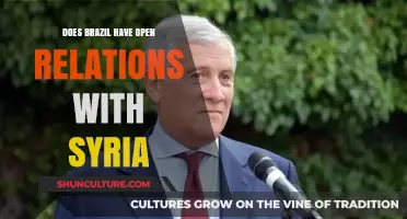 Brazil-Syria Relations: Open Diplomacy or Limited Engagement?