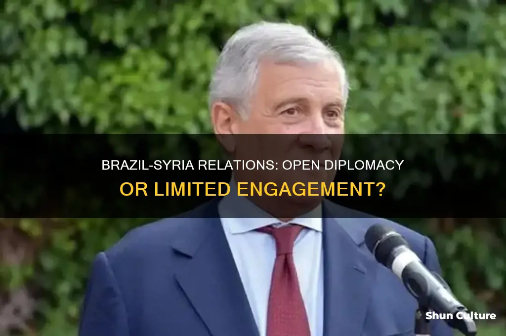 does brazil have open relations with syria