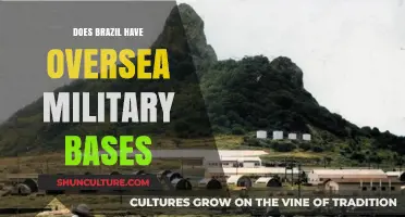 Brazil's Global Military Presence: Exploring Oversea Base Possibilities