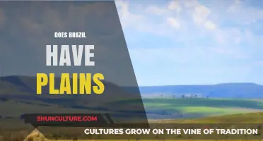 Exploring Brazil's Geography: Are There Plains in This Diverse Landscape?