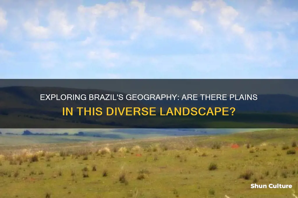 does brazil have plains
