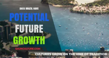 Brazil's Economic Potential: Unlocking Future Growth Opportunities and Challenges