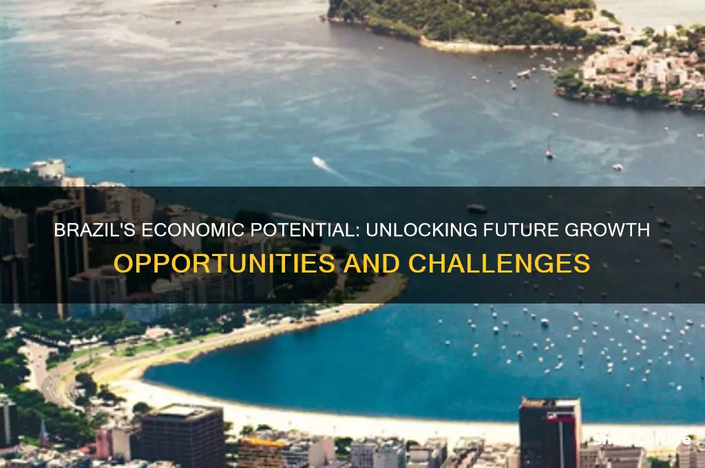 does brazil have potential future growth