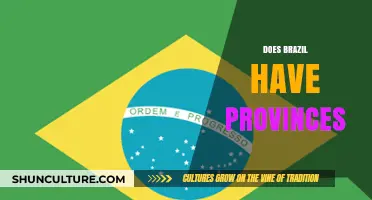 Does Brazil Have Provinces? Understanding Its Administrative Divisions