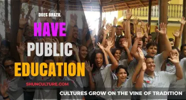 Exploring Brazil's Public Education System: Accessibility, Challenges, and Opportunities