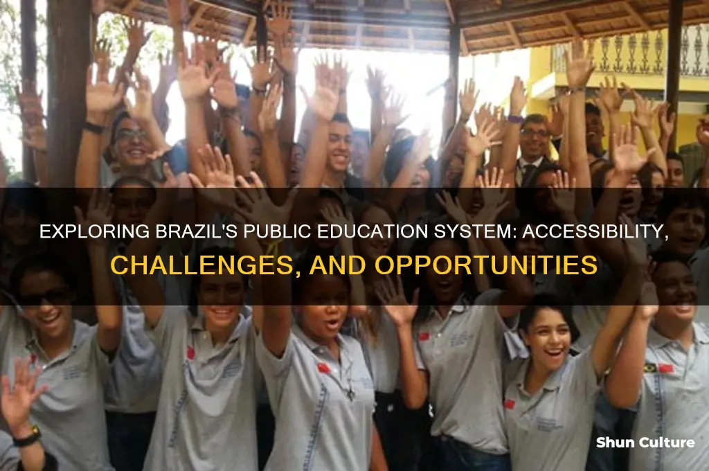 does brazil have public education