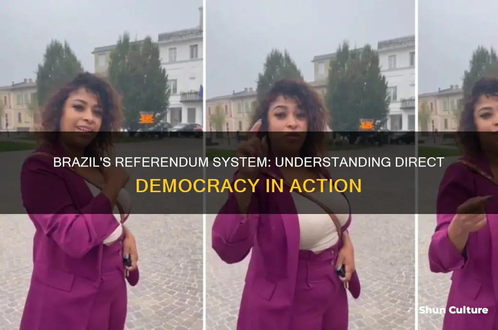 does brazil have referenda