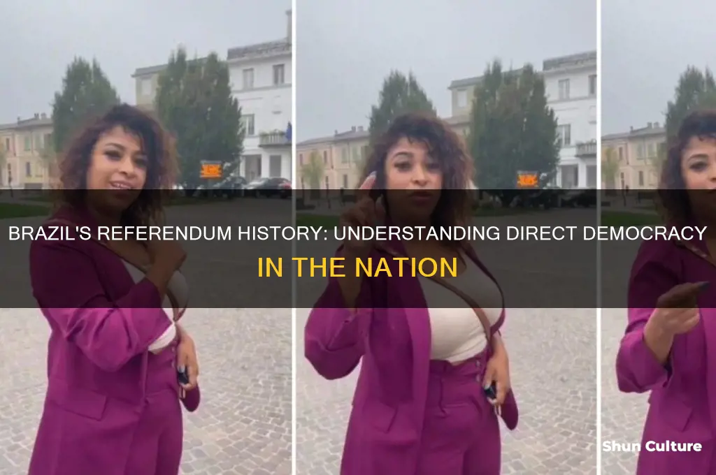 does brazil have referendum