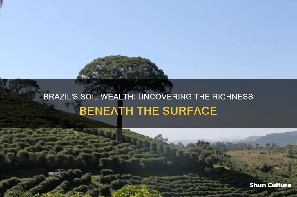 does brazil have rich soil