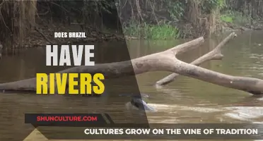 Exploring Brazil's Majestic Rivers: A Guide to Its Waterways
