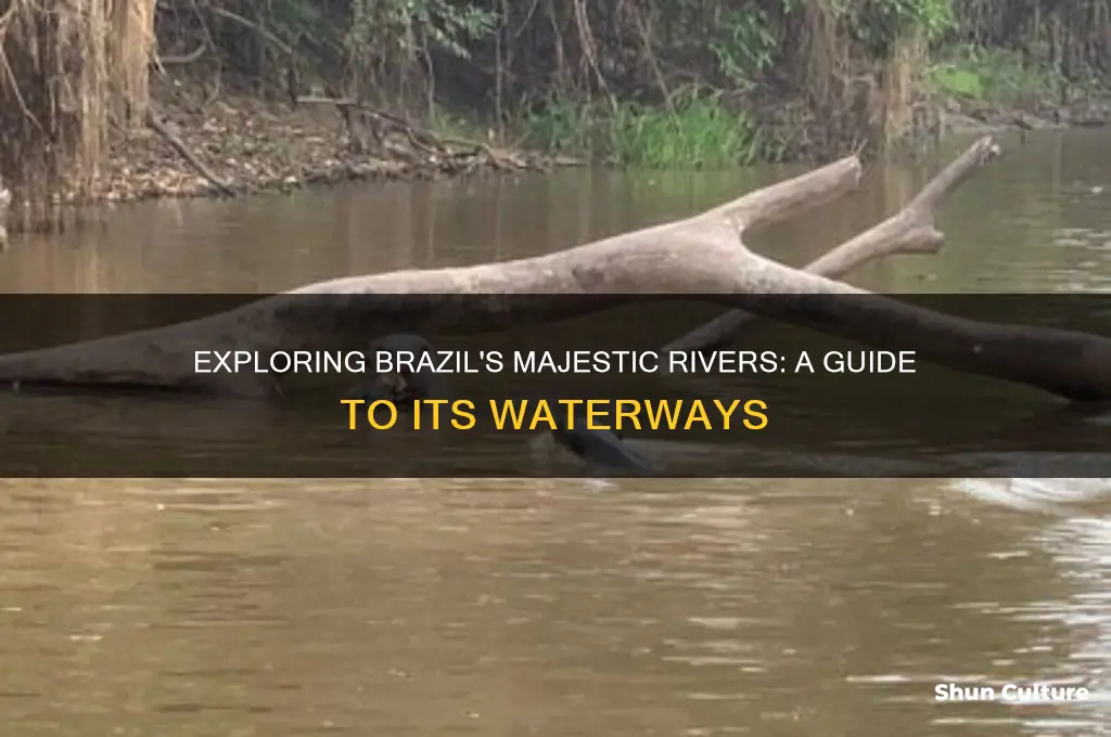 does brazil have rivers