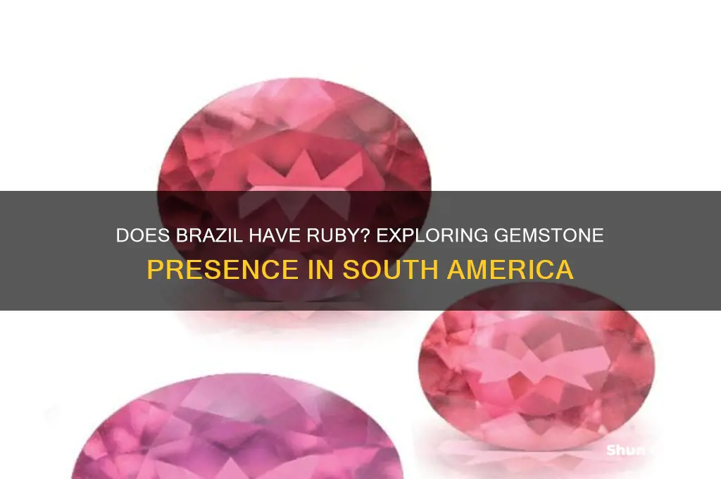 does brazil have ruby