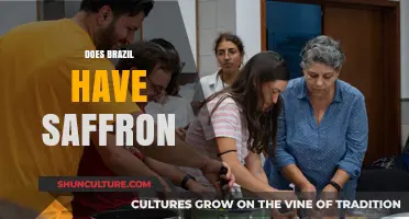 Exploring Brazil's Culinary Treasures: Is Saffron Among Them?