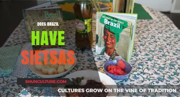 Exploring Brazil's Siestas: Fact or Fiction in Daily Life?