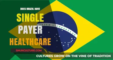 Brazil's Healthcare System: Single Payer or Something Different?