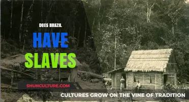 Brazil's Dark History: Slavery's Legacy and Modern-Day Implications