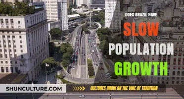 Brazil's Population Growth: Slow or Steady? Uncovering the Trends