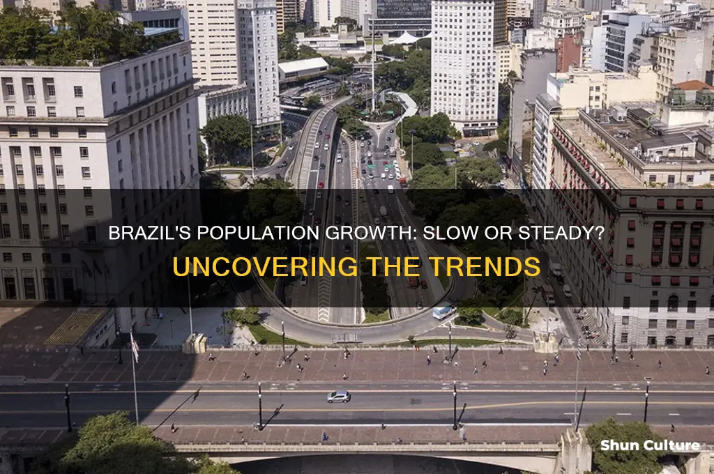 does brazil have slow population growth