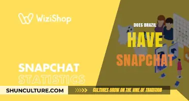 Does Brazil Use Snapchat? Exploring Its Popularity in South America