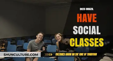 Brazil's Social Stratification: Exploring Class Divisions and Inequality