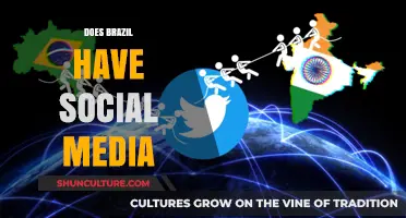 Brazil's Social Media Landscape: Trends, Usage, and Cultural Impact