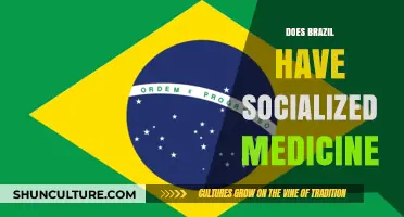 Brazil's Healthcare System: Socialized Medicine or Hybrid Model?