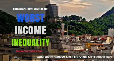 Brazil's Income Inequality: A Stark Reality or Exaggerated Claim?