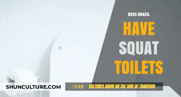 Exploring Brazil's Bathroom Culture: Squat Toilets or Western Style?