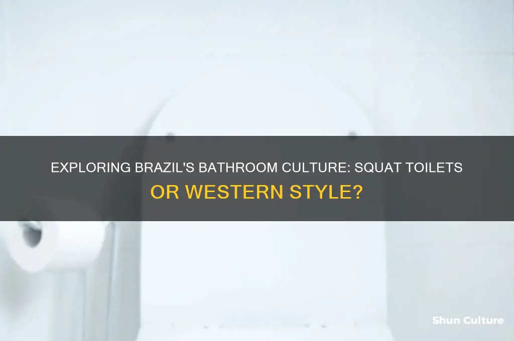 does brazil have squat toilets