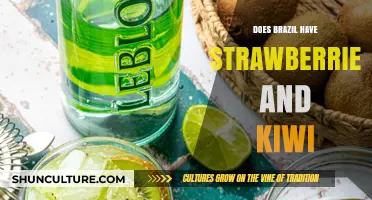 Exploring Brazil's Fruit Diversity: Do Strawberries and Kiwi Grow There?