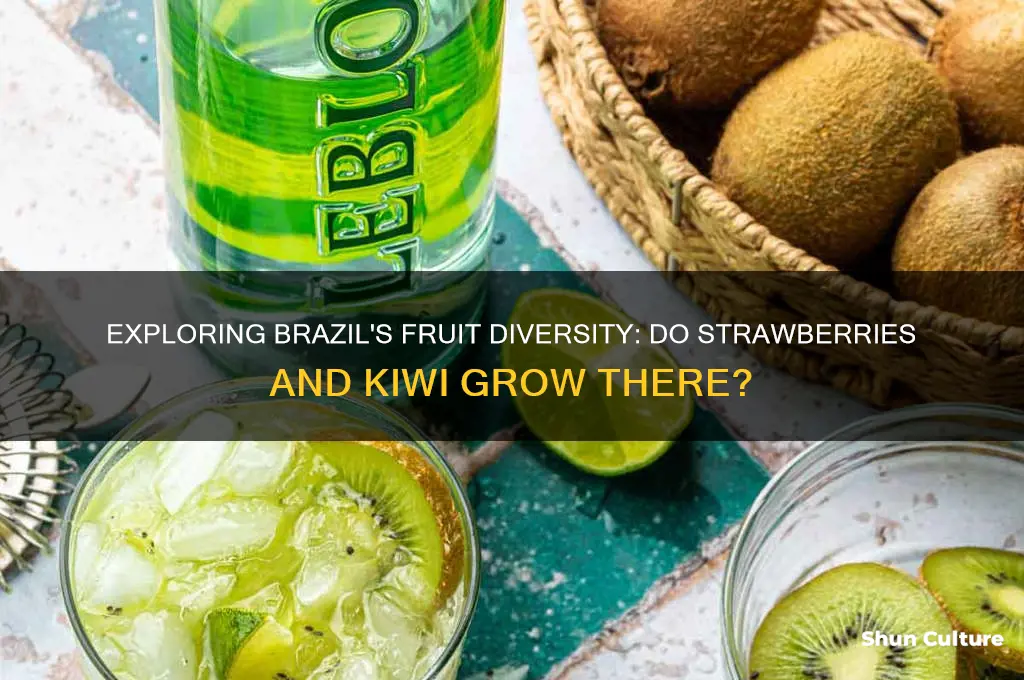 does brazil have strawberries and kiwi