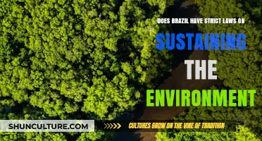 Brazil's Environmental Laws: Strict Enough for Sustainability?