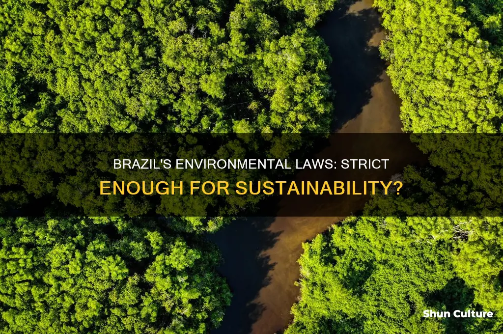 does brazil have strict laws on sustaining the environment