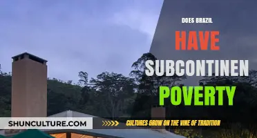 Brazil's Poverty: Subcontinent-Level Challenges in a Global Economy