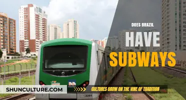 Exploring Brazil's Urban Transit: Do Major Cities Have Subway Systems?