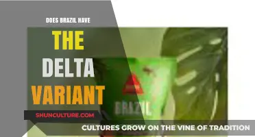 Delta Variant in Brazil: Current Status and Public Health Response
