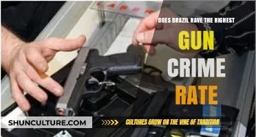Brazil's Gun Crime Rate: Is It the Highest Globally?