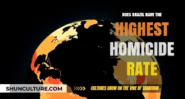 Brazil's Homicide Rate: Is It the Highest in the World?