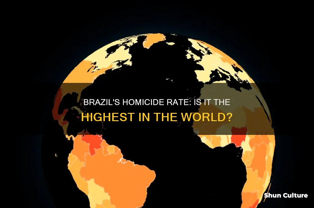 does brazil have the highest homicide rate