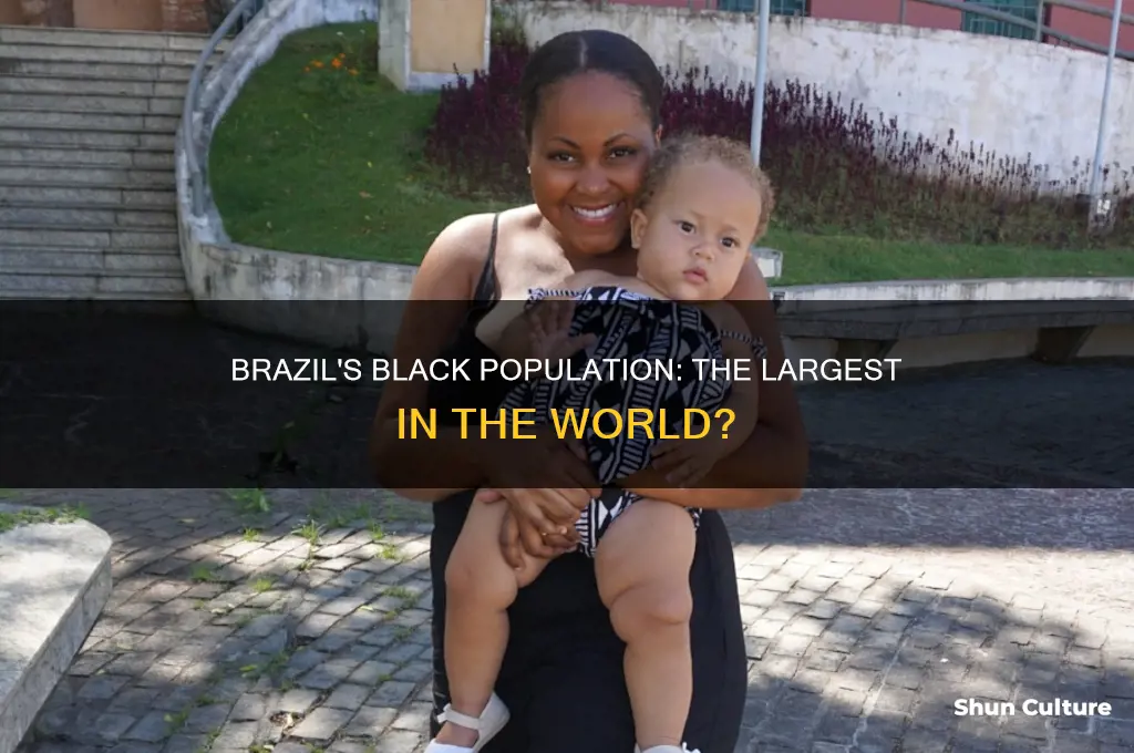 does brazil have the largest black population