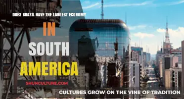 Brazil's Economic Dominance: Leading South America's Financial Landscape?