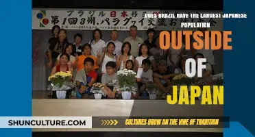 Brazil's Japanese Community: The World's Largest Outside Japan?