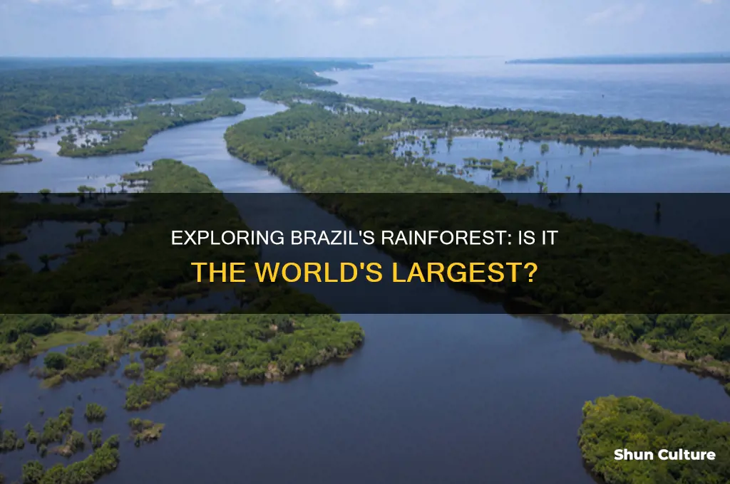 does brazil have the largest rain rainforest