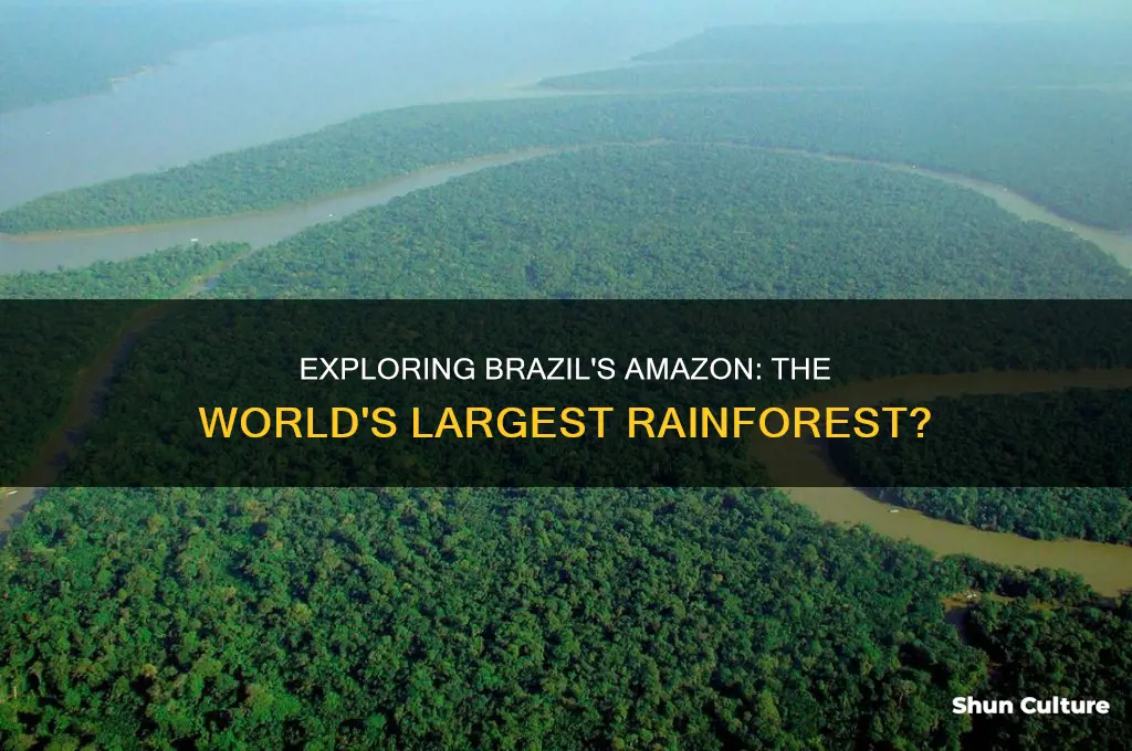does brazil have the largest rainforest in the world