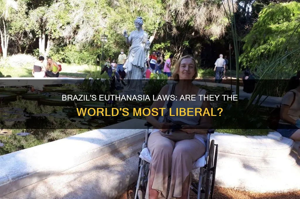 does brazil have the most liberal euthanasia laws
