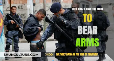 Brazil's Gun Rights Debate: Freedom or Threat to Public Safety?
